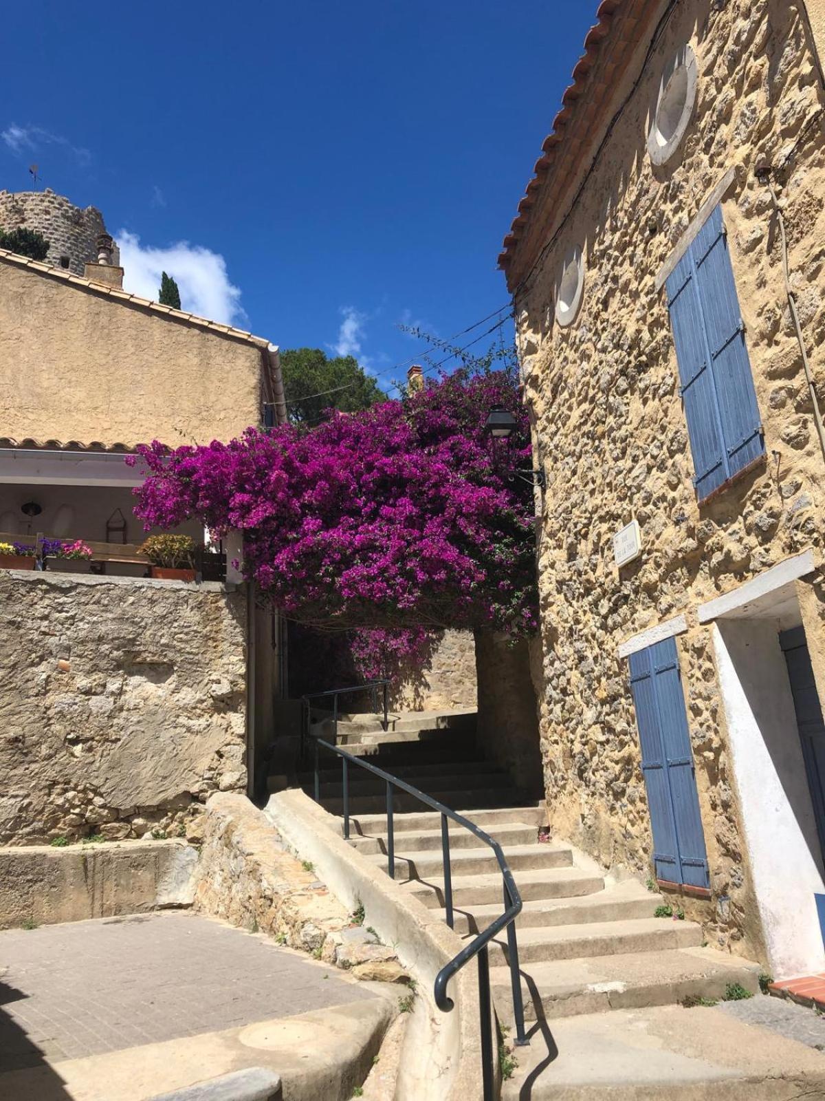 Maison Chalet 200 M De La Plage Climatisation Et Wifi Gruissan Exterior photo